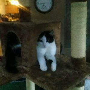 Meet your Posher, Patricia